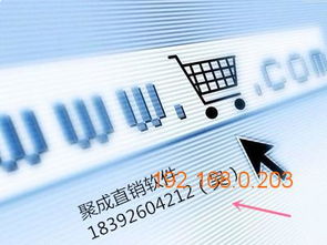 聚成網(wǎng)絡(luò)熱門直銷系統(tǒng)軟件開發(fā)與海南市場供應(yīng)分析