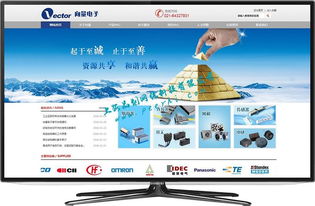 閔行網(wǎng)站建設(shè)與網(wǎng)絡(luò)開發(fā) 打造專業(yè)、高效的在線平臺(tái)